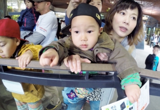 円山動物園