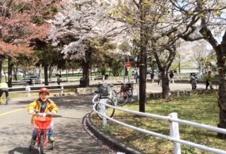 農試公園